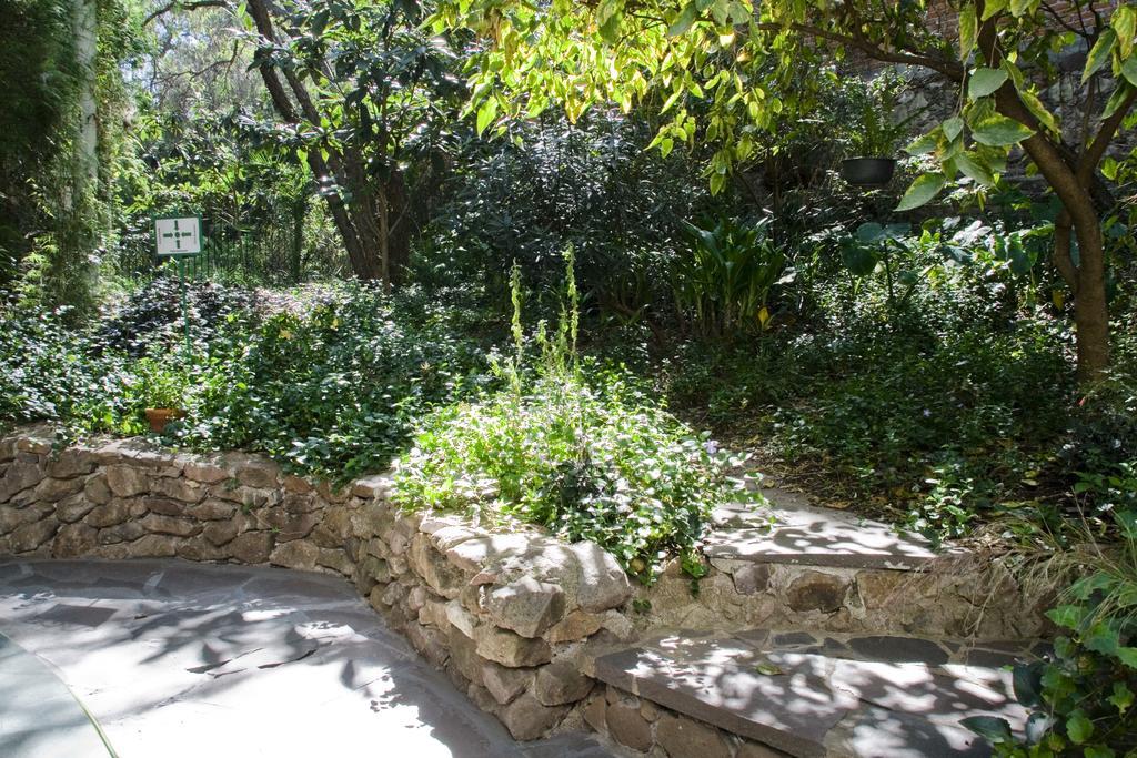 מלון סאן מיגל דה אלנדה Casa Mision De San Miguel מראה חיצוני תמונה